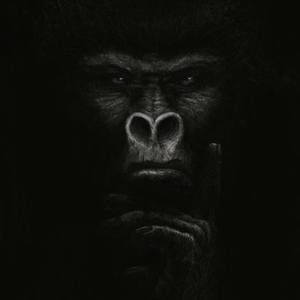 Meet your Posher, Lamonté